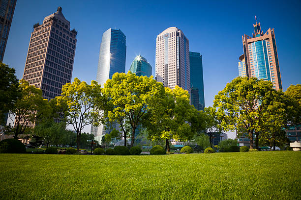istock green grass with city building background. 180395119