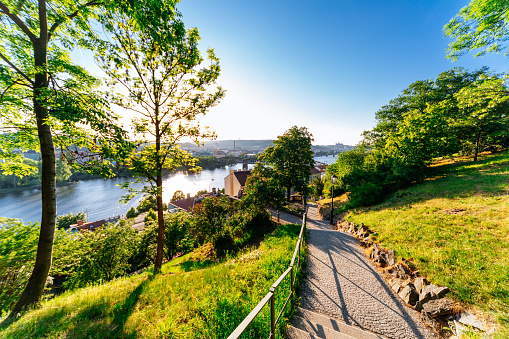 A stunning panoramic view of Prague from Letná Park, with the Vltava River and the city’s skyline in the background. The photo was taken during the day, with the sun shining brightly. The park is filled with green trees and grass, and there is a winding path leading down to the river. The photo was taken from a high vantage point, giving a breathtaking view of the city.