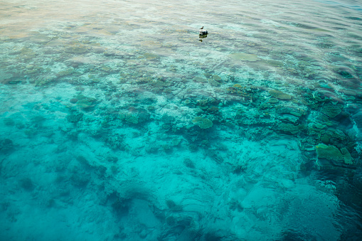 Red sea water surface in Hurghada, Egypt.