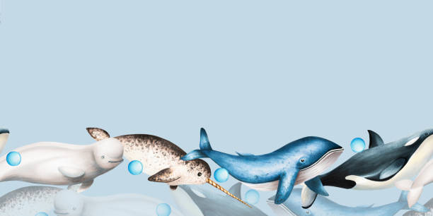 istock Watercolor border with beluga, blue whale and narwhal isolated on white background. Hand painting realistic Arctic and Antarctic ocean mammals. For designers, decoration, postcards, wrapping paper, scrapbooking, covers, logos, invitations, posters and 1803967031