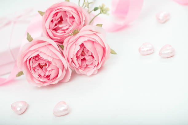 Pink coloured rose flower background