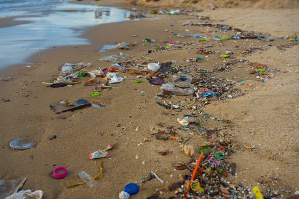 istock Plastic trash on sand sea beach wave nature pollution 1803980500