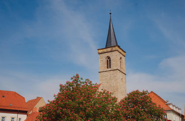 Frühling