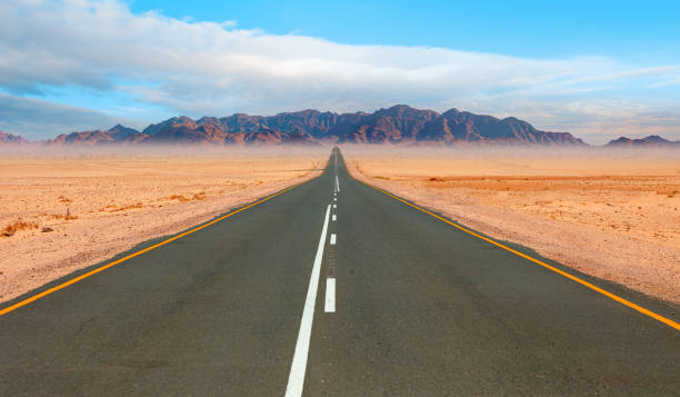 istock National Park with empty asphalt road - Namib desert , Namibia 1803999889