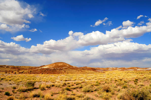 istock Rugged and Desolate Landscape Petrified Forest Arizona 1804007030