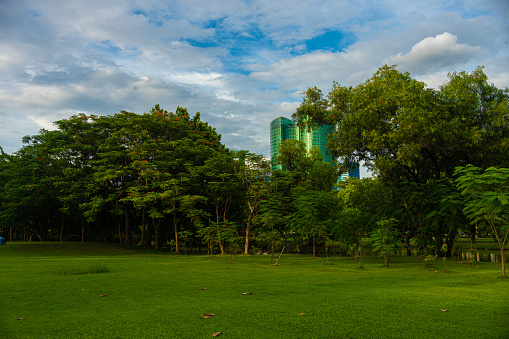 Summer cityscape view from the city Garden of golden sunset or sunrise light on the downtown Bangkok city skyline in Thailand