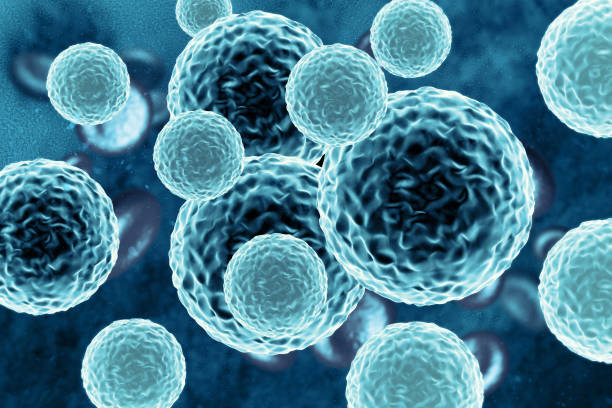 istock Cells with nucleus on scientific background. 3d illustration 1804015226