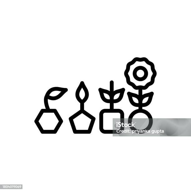 Evolution Growth Stock Illustration - Download Image Now - Evolution ...