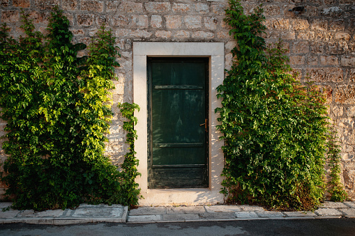 Green door of ancient cottage in stone wall decorated with climbing plants. Fresh herbs growing upwards creating cozy atmosphere in city Supetar, Croatia. Concept of comfort and buildings.