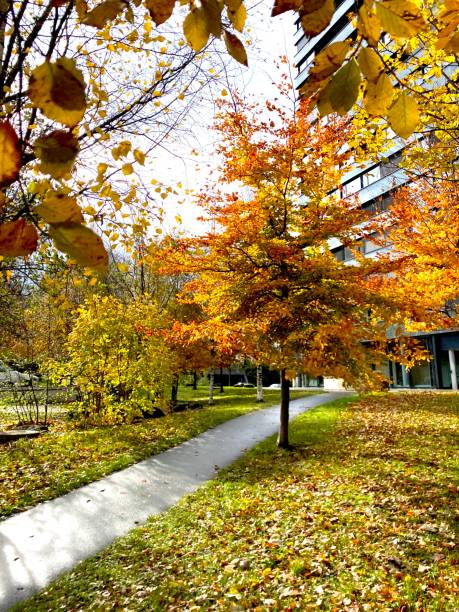 istock Autumn in the big city 1804045733