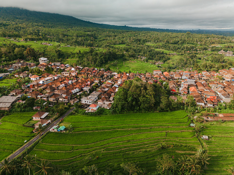 Aerial view of residential neighbourhood  growing near Ubud on Bali island . Villas surrounded by rice fields are popular among tourists and expats