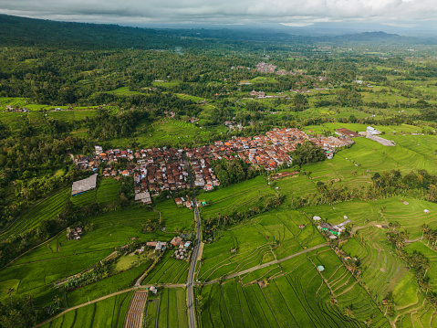 Aerial view of residential neighbourhood  growing near Ubud on Bali island . Villas surrounded by rice fields are popular among tourists and expats