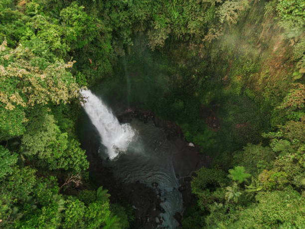 istock Aerial view of waterfall among tropical jungles 1804049021