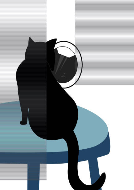 obraz wektorowy czarnego kota odpoczywającego na stole - m09 stock illustrations