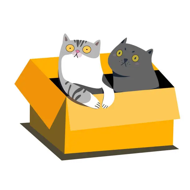 Vector illustration of Two cats in a cardboard box
