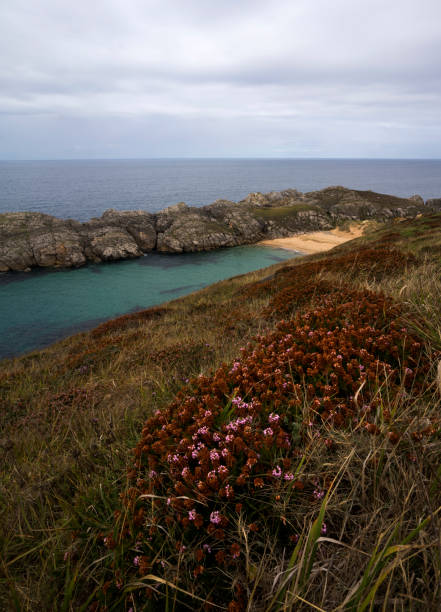 istock Landscape in Costa Quebrada, Cantabria, Spain 1804099466