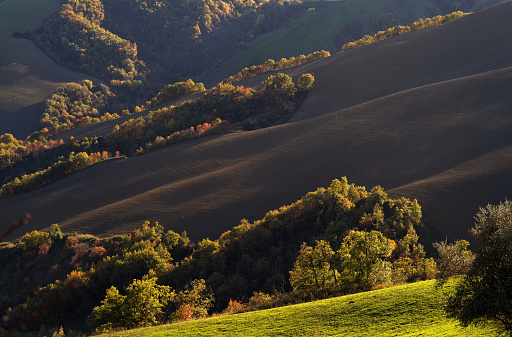 view of the Montefeltro hills in autumn colors