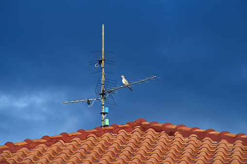 view of TV antenna on the roof and dove agaist the cloudy sky