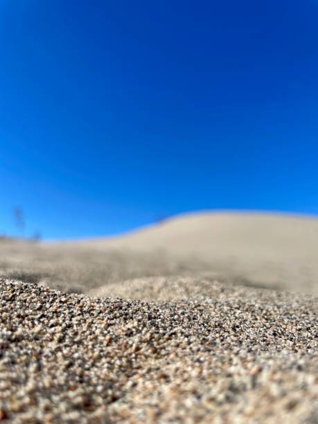 istock View of Mesquite Flat Dunes from the Sand’s Perspective 1804129958