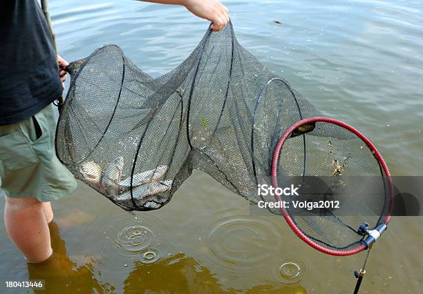 Grelha Com Peixe - Fotografias de stock e mais imagens de Ao Ar Livre - Ao Ar Livre, Apanhar - Atividade Física, Captura de Peixe