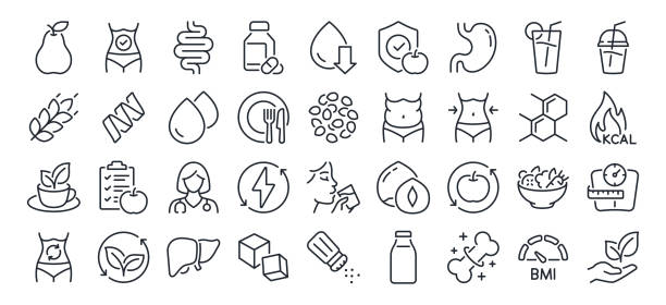 nutrisi, detoks, sehat dan organik, makanan, penurunan berat badan, diet, metabolisme dan bmi ikon garis stroke yang dapat diedit diatur terisolasi pada ilustrasi vektor datar latar belakang putih. pixel sempurna. 64 x 64. - protein ilustrasi stok
