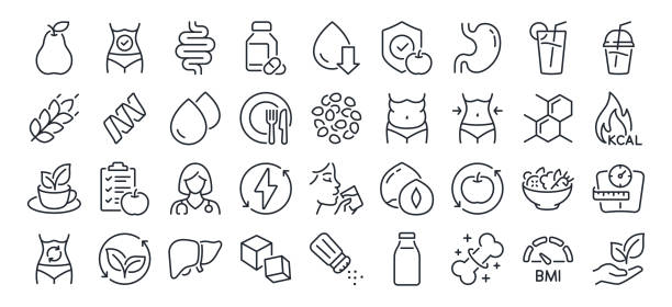 ilustrações de stock, clip art, desenhos animados e ícones de nutrition, detox, healthy and organic, food, weight loss, diet, metabolism and bmi editable stroke outline icons set isolated on white background flat vector illustration. pixel perfect. 64 x 64. - dieting overweight weight scale healthcare and medicine