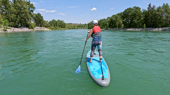 Woman SUP boarder paddles down a green river