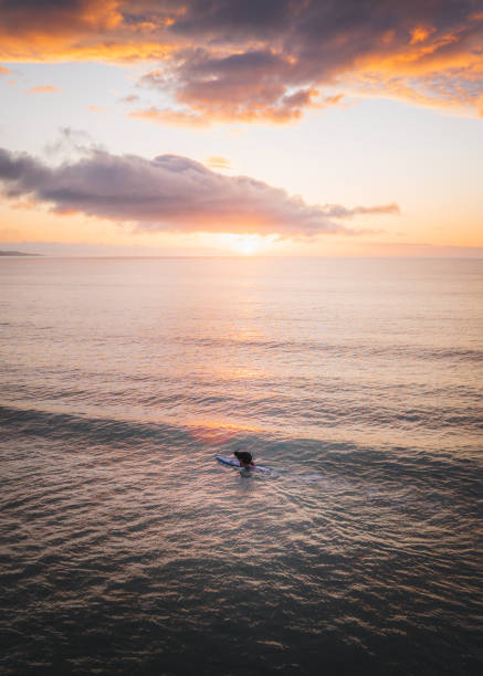 Aerial view of surfer pausing on ocean at sunrise, North Island