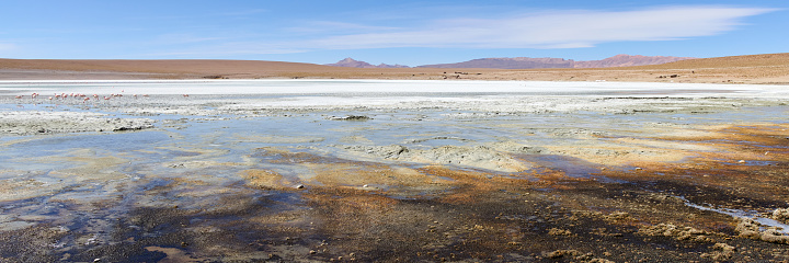 Bolivia, Laguna Kollpa in Avaroa National Park. A salt alkaline lake where flamingos feed.