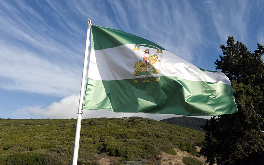 Oran, Algeria: Algerian flag flying over the City Hall - photo by M.Torres