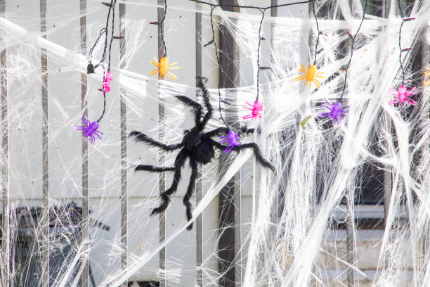 istock spider at a halloween net at the fence, Houston 1804161486