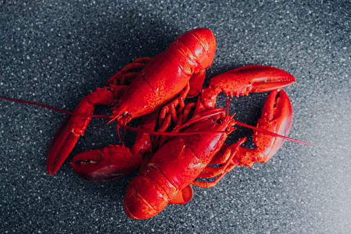 High-angle photo of the red lobsters on the gray flat lay