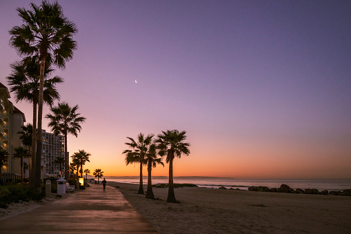 Dawn on Coronado Beach, San Diego. The sky is turning from purple to orange as the sun comes up, silhouetting the palm trees lining the shore. Room for copy.