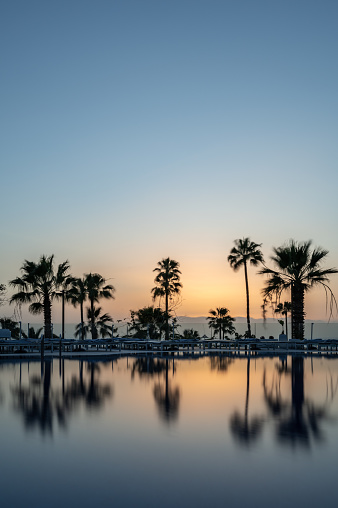Palm trees silhoutted against an orange sunset, reflected in very calm water, on Tenerife, Spain