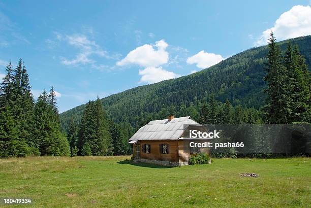 이 Carpathians 산장형 버림받은에 대한 스톡 사진 및 기타 이미지 - 버림받은, 숲, 집