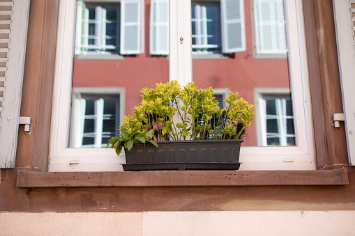 Close-up of a window to a residential building in Strasbourg, France