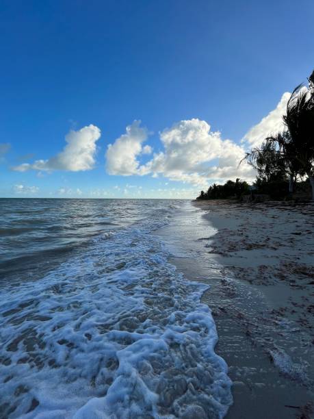 istock a large body of water near a sandy shore with a few trees 1804201749
