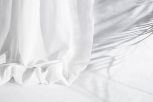 istock Soft creased curtain with palm leaves shadows on white background,  abstract backdrop 1804221218