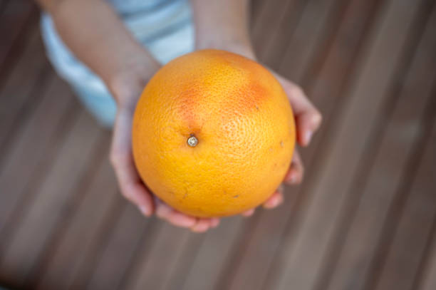 istock Child hands holding ripe orange or grapefruit 1804229416