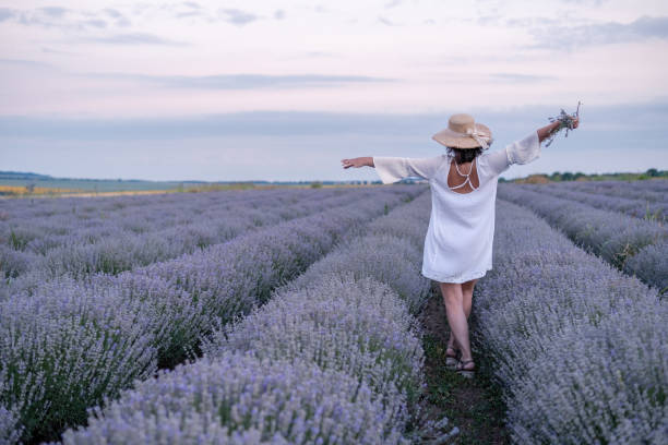 istock Lady in White in Levander Field. 1804262863