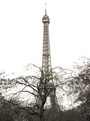 A grayscale shot of the Eiffel Tower in Paris, France