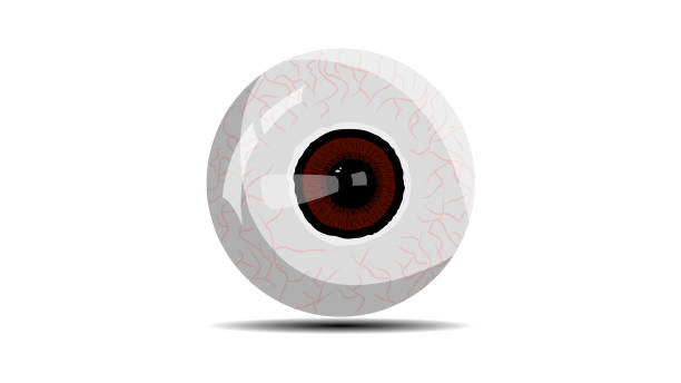 istock View and look concept represented by red eye icon isolated on white background, Realistic Vector Illustration. 1804271079