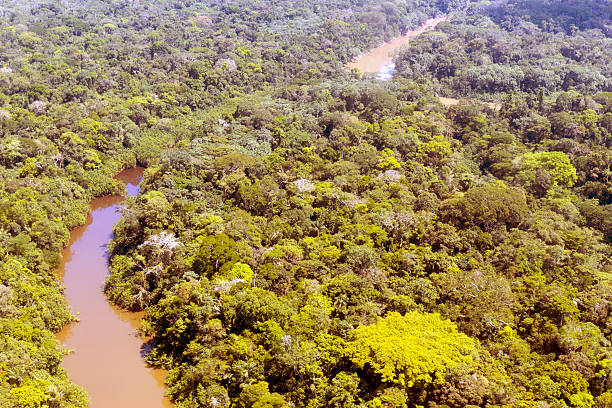 istock Aerial view of Amazon Rainforest 180428360