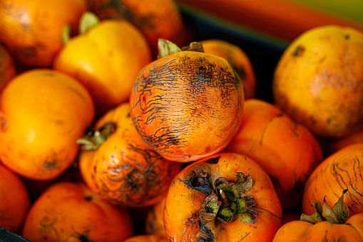 Homegrown Organic Persimmon in Crate.