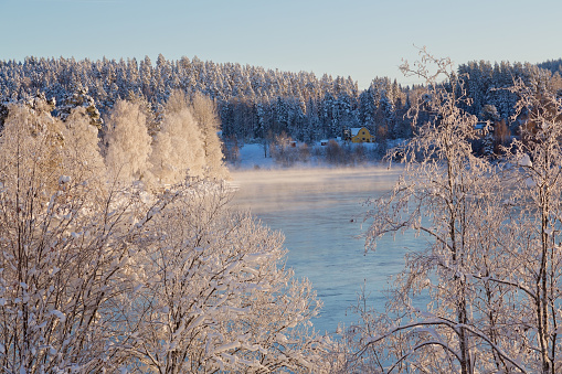 A cold winter day in Solleftea District, northern Sweden
