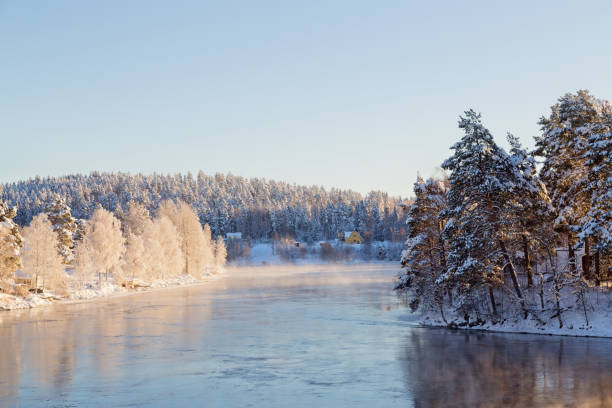 スウェーデン北部ソレフテア地区の寒い冬の日 - sweden cottage winter snow ストックフォトと画像