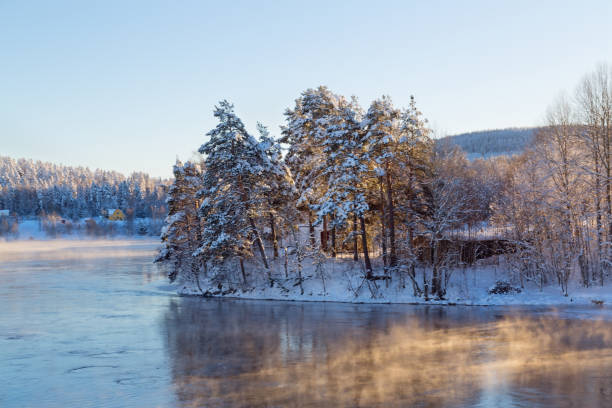 istock A cold winter day in Solleftea District, northern Sweden 1804292721
