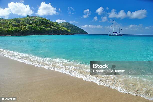 Caraibi Us Isole Vergini St Thomas - Fotografie stock e altre immagini di Acqua - Acqua, Albero, Albero tropicale