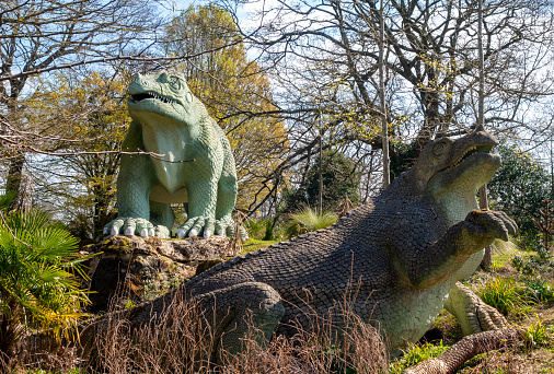 Two historic and famous Iguanodon dinosaur sculptures on an island in the public Crystal Palace Park in South East London. The dinosaurs were constructed in the park in 1854 when the former 1851 Great Exhibition glass ‘palace’ was moved to Sydenham after the exhibition closed. The new, extensive pleasure gardens contained a collection of around 30 ‘dinosaurs’ and other extinct creatures, which are now known to be anatomically inaccurate. They are, however, a famous and much-loved attraction in South East London. The sculptures were created by one of the 19th-century’s best-known natural history sculptors, Benjamin Waterhouse Hawkins (1807-1894). The landscape in which they are set was designed by Joseph Paxton, designer of the Crystal Palace glass building.