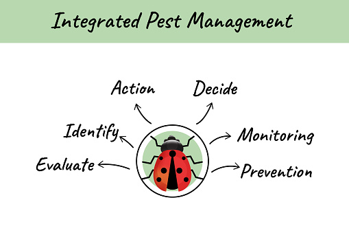 Integrated pest management concept. Including action, decision, monitoring, prevention, identification, and evaluation